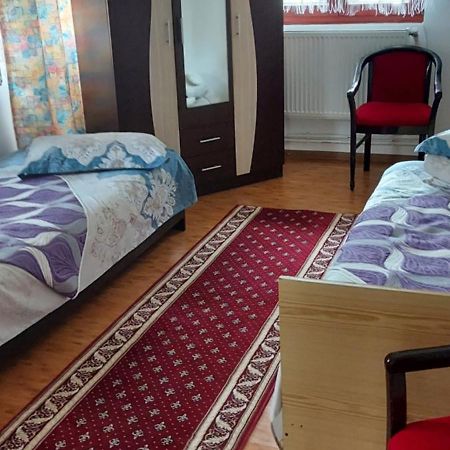 Апартаменты Casa Rodica Ватра-Дорней Экстерьер фото