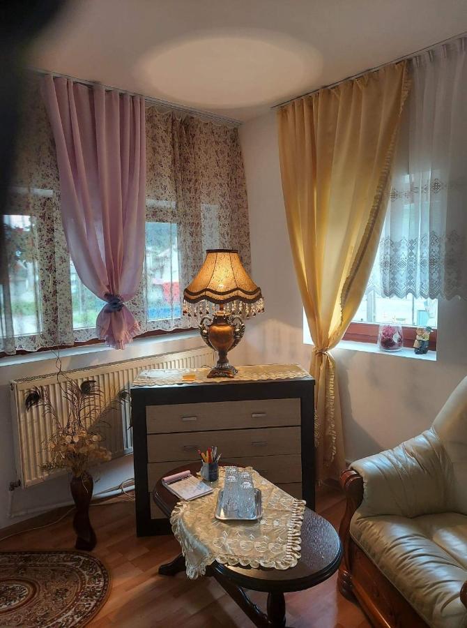 Апартаменты Casa Rodica Ватра-Дорней Экстерьер фото