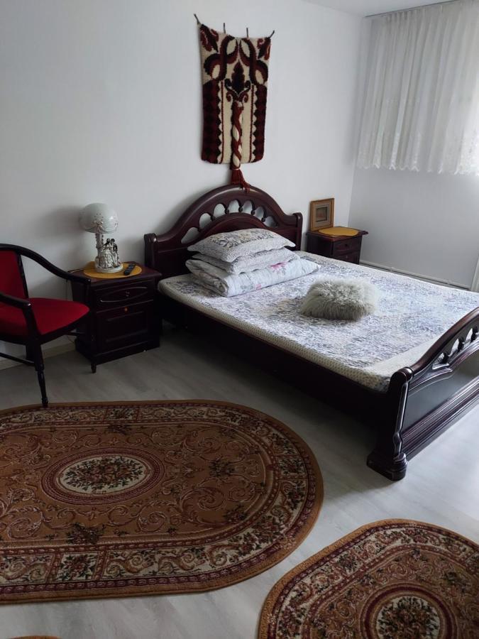 Апартаменты Casa Rodica Ватра-Дорней Экстерьер фото